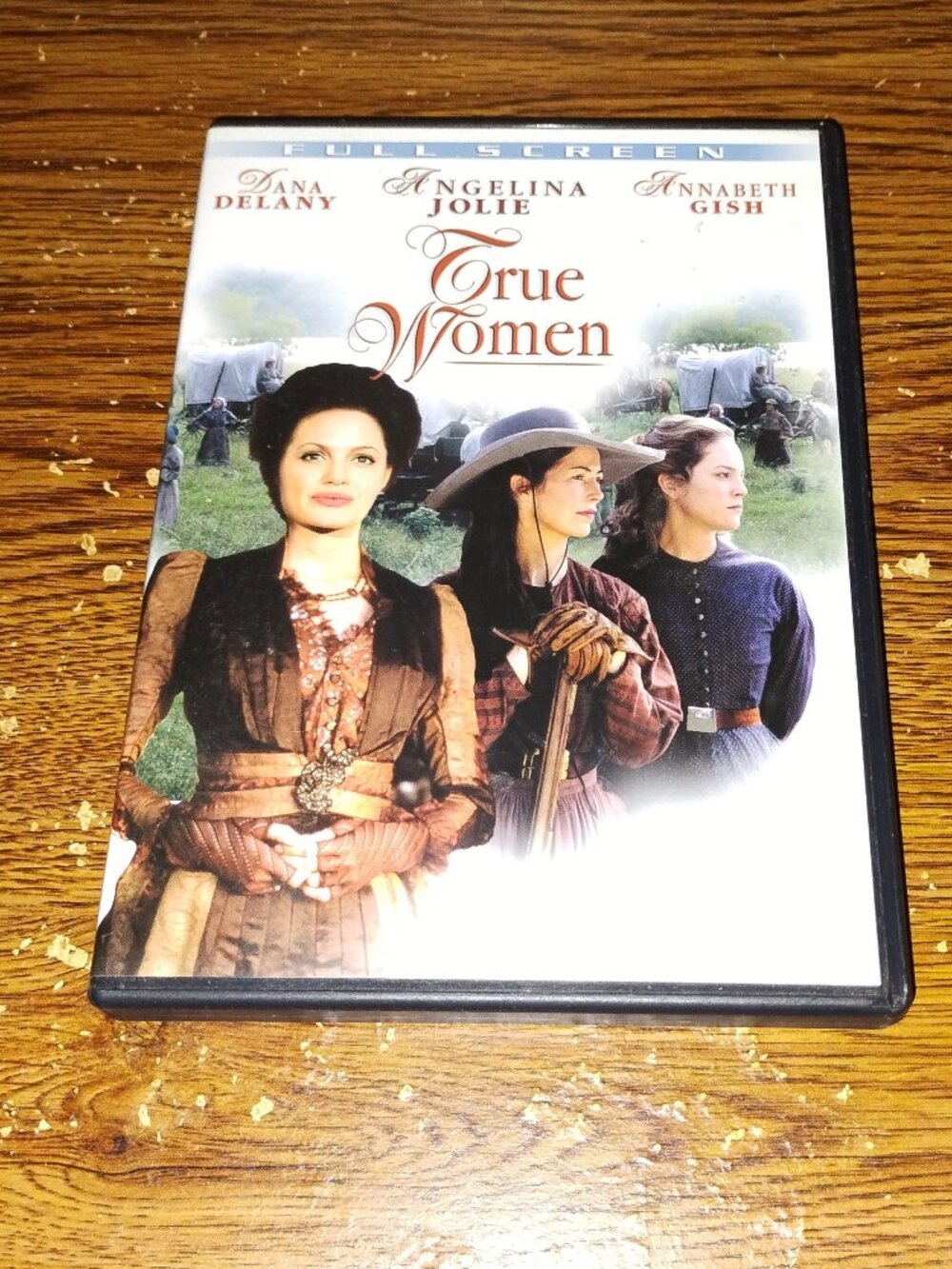 True Women (DVD, 2004, Hallmark Entertainment) Dana Delany
